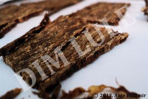 Gawith, Hoggarth & Co: Ennerdale Flake