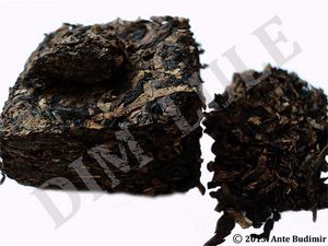 Cornell & Diehl: Bow-Legged Bear