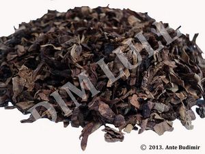 Cornell & Diehl: Old Joe Krantz